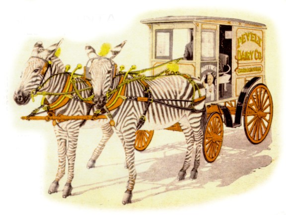 Pevely Milk Wagon with Zebras